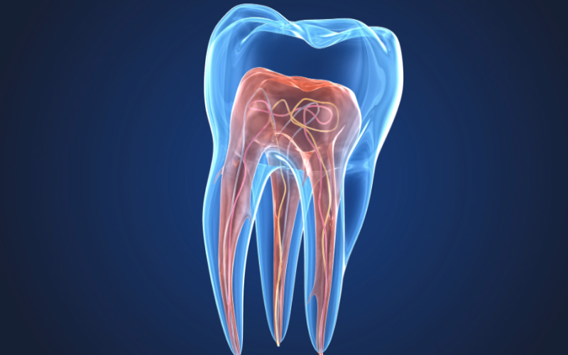 Clínica Santa Zita Medicina Dentária - Endodontia